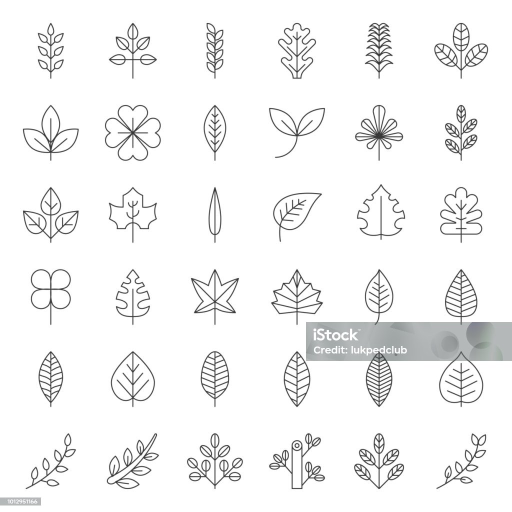 Leaves and branch icon set, thin line design Leaf stock vector