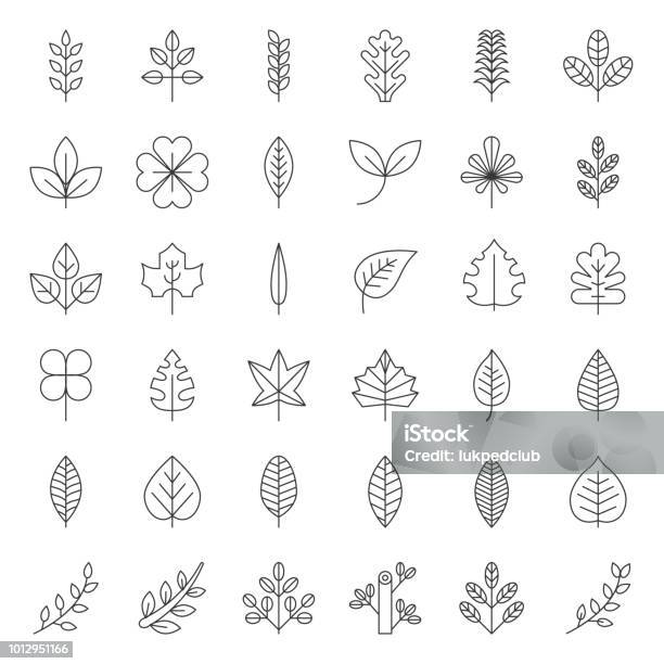Leaves And Branch Icon Set Thin Line Design Stock Illustration - Download Image Now - Leaf, Icon Symbol, Autumn