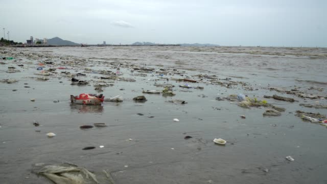 Very polluted beach