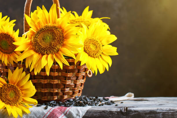 istock Beautiful sunflowers in a basket on a wooden table. 1012953842