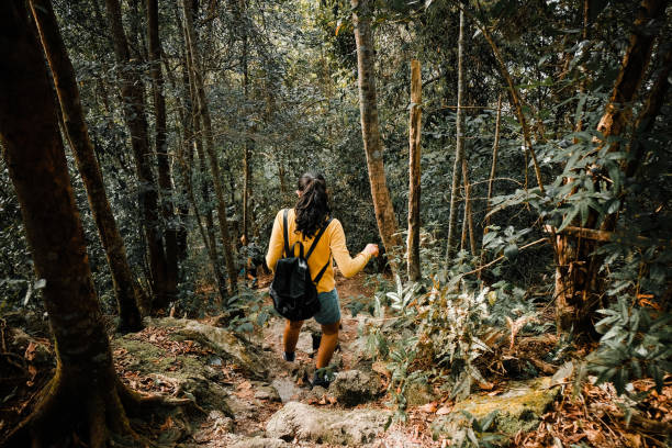 istock Asian Women Hiking 1012971906