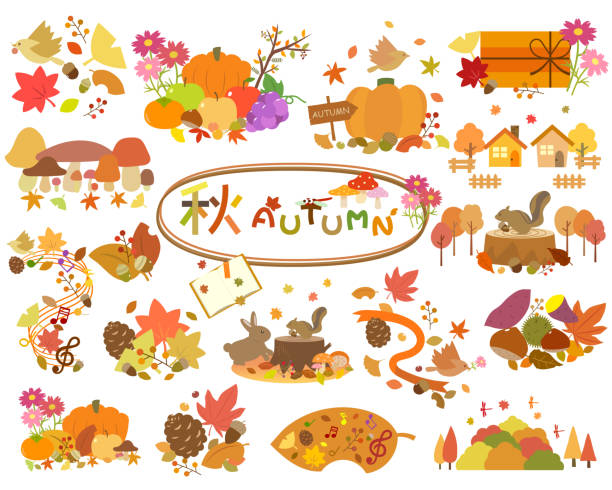 herbst-konstruktion1 - chestnut autumn september leaf stock-grafiken, -clipart, -cartoons und -symbole