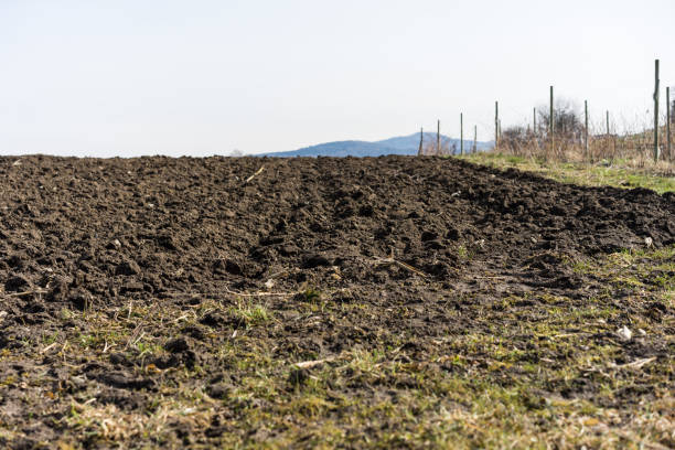 istock empty farming soil, brown earth close up 1012973000