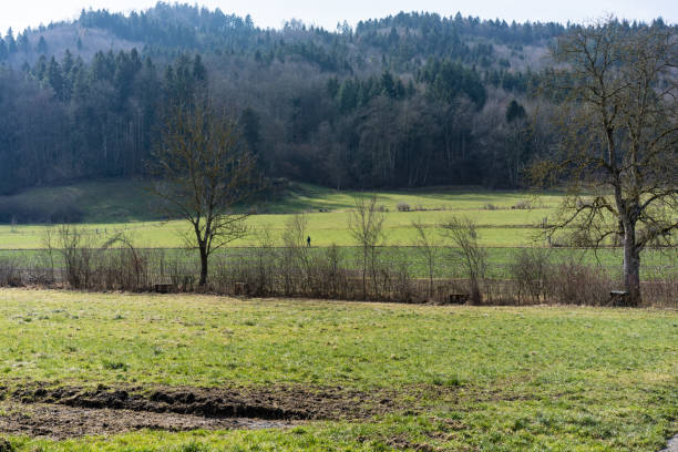 istock europe meadow forest landscape in spring, switzerland 1012973084