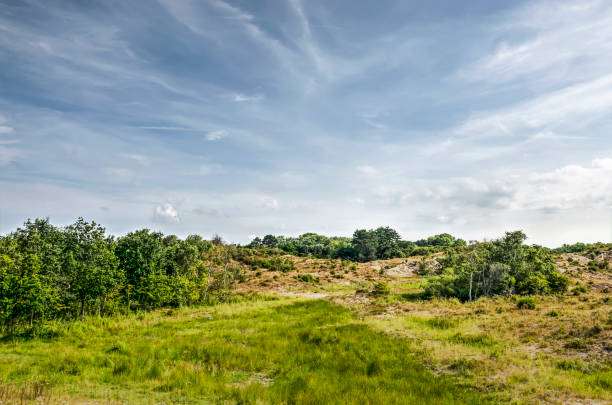 istock Dune landscape near Rockanje 1012973136