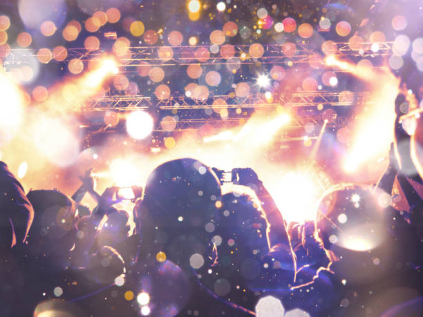 istock Concert crowd in front of a live stage 1012976426