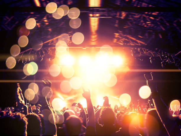 istock Concert crowd in front of a live stage 1012978760