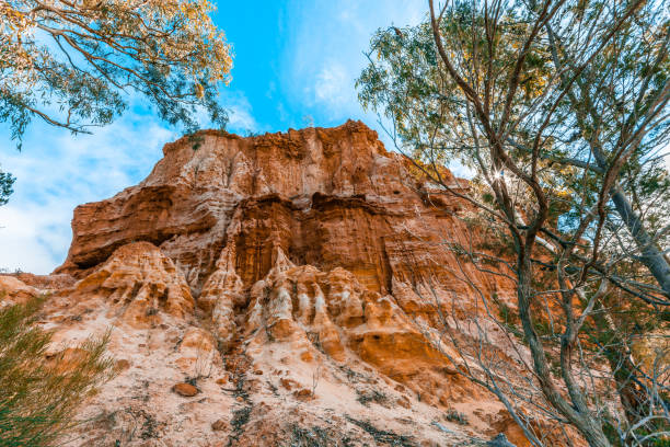 istock Eroding sandstone cliffs on the shores of Murray River in South Australia 1012980034