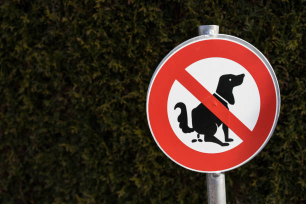 no dog pooping sign outdoor in front of hedge
