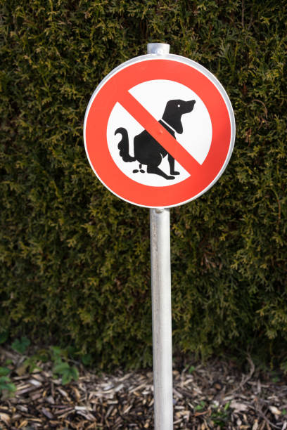 istock no dog pooping sign in front of hedge 1012984988
