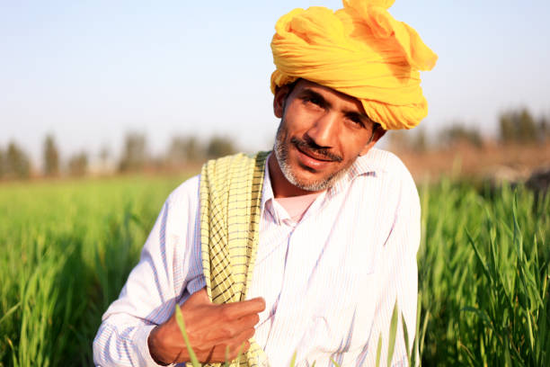 istock Cheerful young farmer portrait in the nature 1012988276