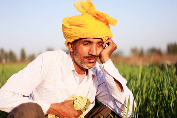 istock Thoughtful farmer portrait outdoor 1012988282
