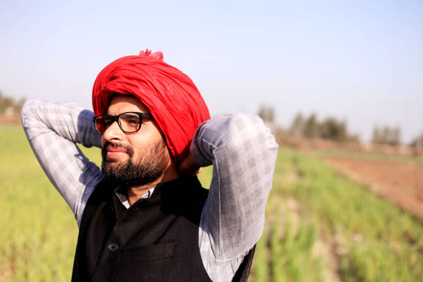 istock Farmer portrait near green field 1012988438