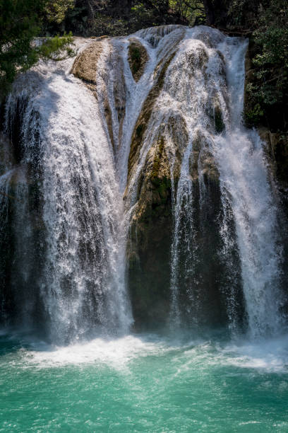 istock Chiflon Waterfall ecopark, Cascada El Supiro, Chiapas, Mexico 1012993602