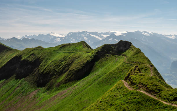 istock beautiful hiking path along a mountain during sunny summer day, ridge walk with cows 1012998446