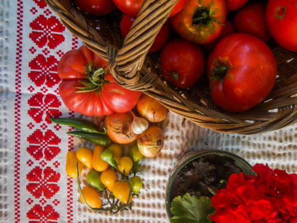 istock Fresh Organic Vegetabel Harvest 1012999698