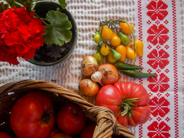 istock Fresh Organic Vegetabel Harvest 1012999712
