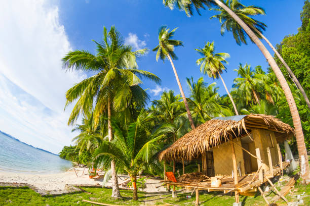 Port Barton, Palawan, Philippines - July 10, 2018: A general view of the beach of Port Barton, with coconut palm trees on the beach and a hut in front of the sea.Locate just 2 hours from El Nido, Port Barton is a small town with beautiful beaches and small crowds of tourists. Now it's a jewel, but maybe in 5 years more, it's going to be a very busy tourist destination and as it happens everywhere, will be roughened.