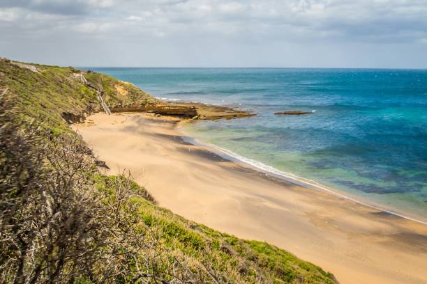 istock Beautiful beach in Torquay in the summer, Australia 1013011294