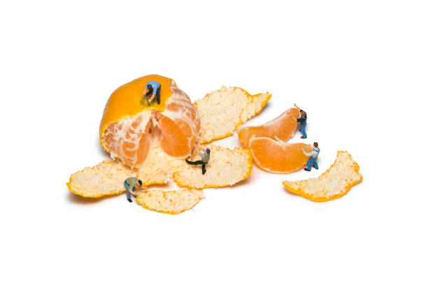 istock Creative concept with miniature workers. Mens remove the peel mandarins 1013026480