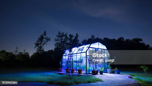 Lighted Greenhouse After The Sun Has Set Stock Photo - Download Image Now - Greenhouse, Night, Illuminated