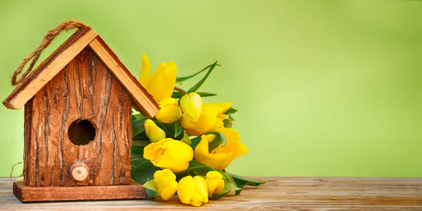 istock Spring. Holiday background with tulips flowers 1013044234