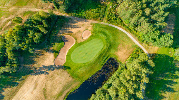 istock Golf green surrounded by sand traps and forest 1013044478