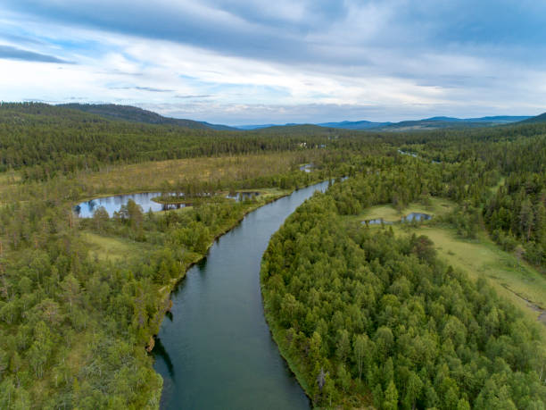 istock Descending on a river passing through a green lush forest landscape 1013046698