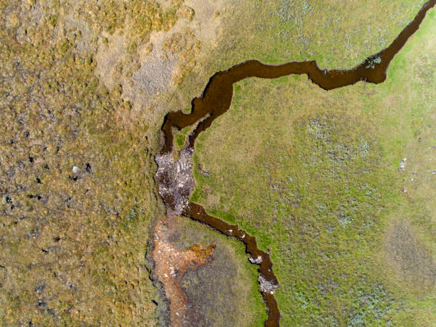 istock Descending on a river passing through a green savannah landscape 1013046734