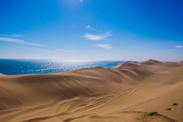 istock Dunes on the sea 1013050590