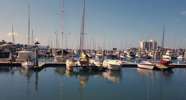 istock Moored boats in calm marina. 1013059048