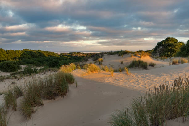 istock Sand Dunes, Tasmania 1013059296