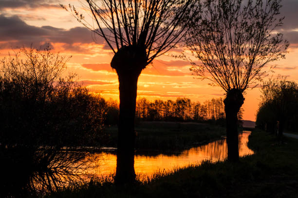 istock Sunrise in the Dutch Wetlands 1013070384