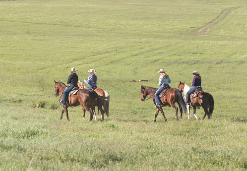 cowgirls cowboys riding horses at countryside of santaquin valley of Salt lake City SLC Utah USA