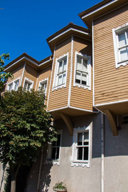 istock Example of outstanding Turkish Traditional architecture 1013099800