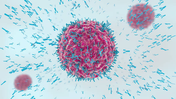 3d abbildung von antikörpern angreift virus zelle in die blutbahn - immunologie stock-fotos und bilder