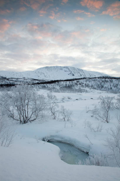 istock frozen trees in winter, Norway 1013112724