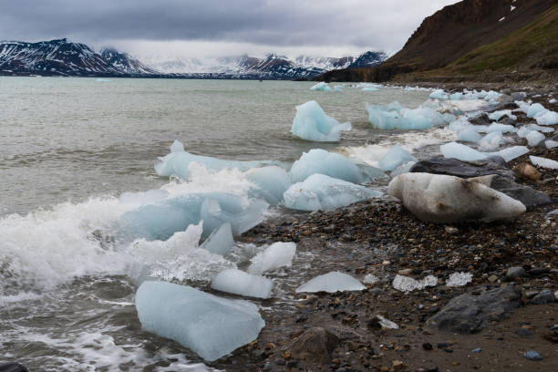 istock Ice pieces on the coast in Arctic 1013115510