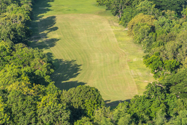 golf course in aerial view with grass green field - sports flag high angle view putting sand imagens e fotografias de stock