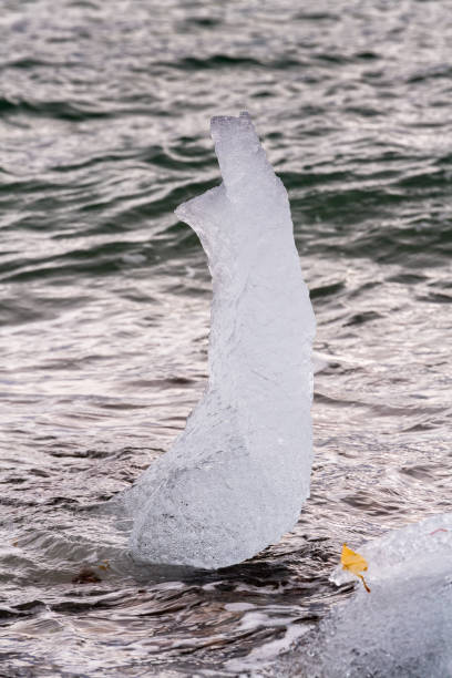 istock Small Ice pieces on the water in Arctic 1013115640