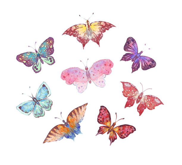 Set of watercolor butterflies Set of watercolor butterflies isolated on white butterfly purple blue isolated stock illustrations