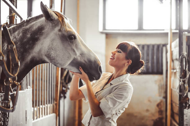 istock woman stroking the horse 1013115804