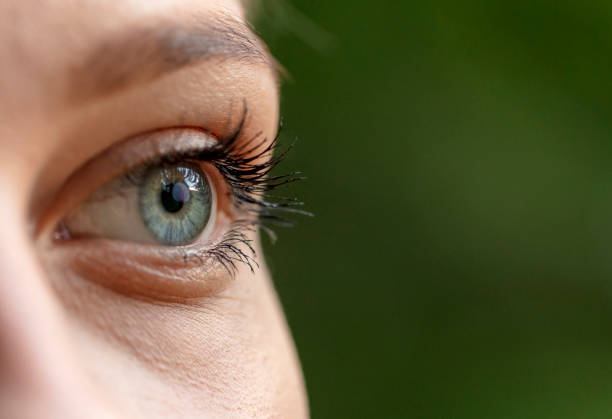 женский глаз макро выстрел - reflection women human eye macro стоковые фото и изображения