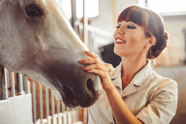 istock woman stroking the horse 1013115822