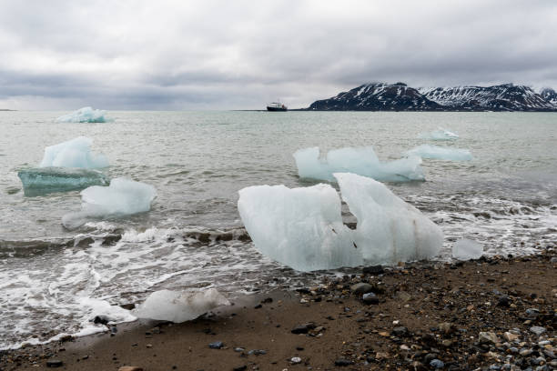 istock Ice pieces on the coast in Arctic 1013115918