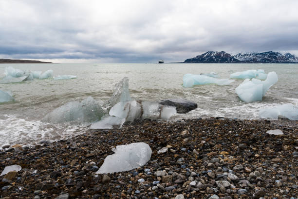 istock Ice pieces on the coast in Arctic 1013115930