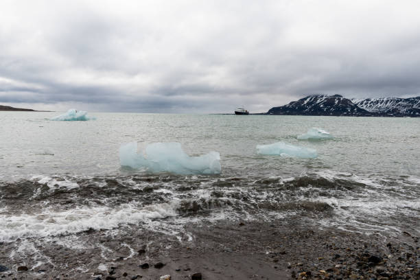 istock Ice pieces on the coast in Arctic 1013116094