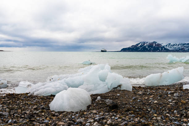 istock Ice pieces on the coast in Arctic 1013116100