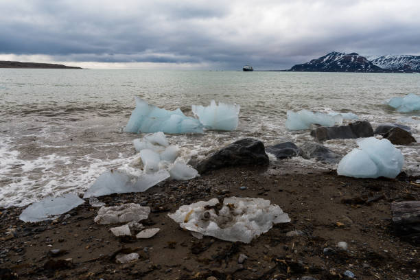istock Ice pieces on the coast in Arctic 1013116120