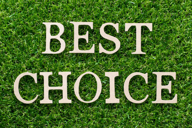 istock Wood alphabet in word best choice on artificial green grass background 1013123360